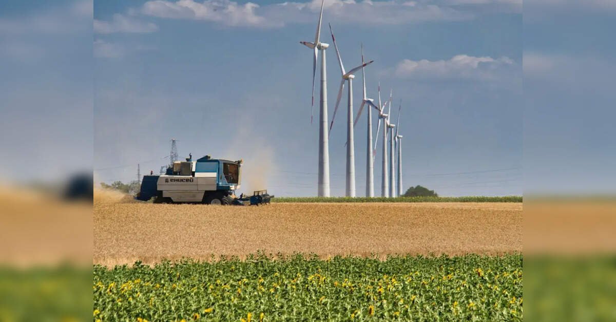 GSFC seeks joint venture partner for green ammonia factory in Gujarat