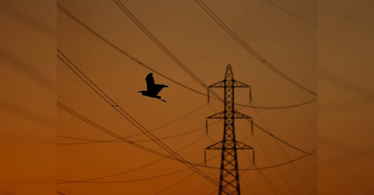 Resonia commissions 2 transmission projects in Rajasthan, adds 9 GW evacuation capacity